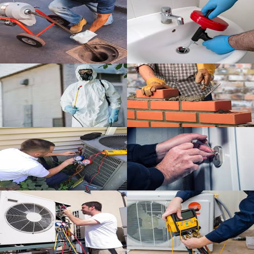 disinfestazione blatte firenze invisibilità tattica totale