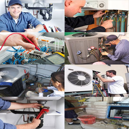 disinfestazione firenze con precisione chirurgica sui fastidi non invitati