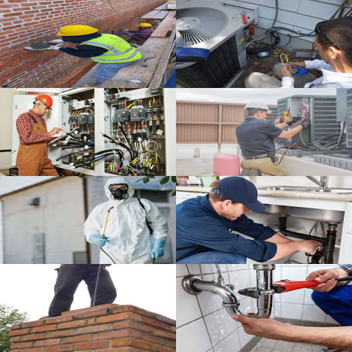 disinfestazione formiche firenze che elimina ogni traccia in giorni.