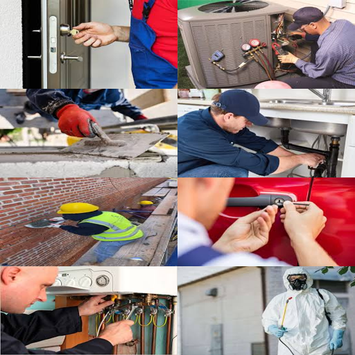 disinfestazione scarafaggi firenze Disinfestazione scarafaggi firenze che cancella i scarafaggi con precisione invidiabile