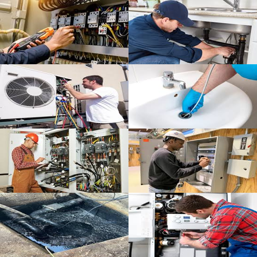 disinfestazione zanzare firenze sequenza rapida e risolutiva